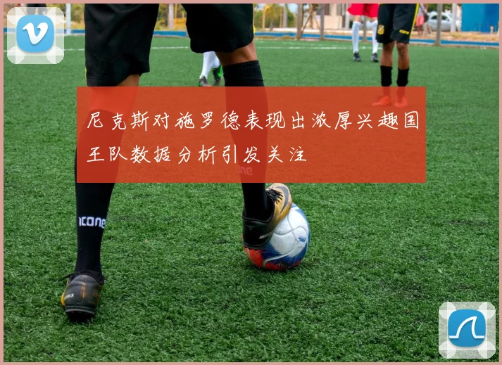 尼克斯对施罗德表现出浓厚兴趣国王队数据分析引发关注