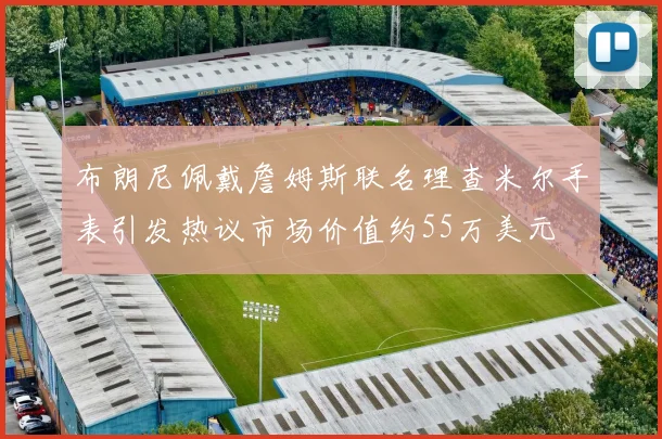 布朗尼佩戴詹姆斯联名理查米尔手表引发热议市场价值约55万美元