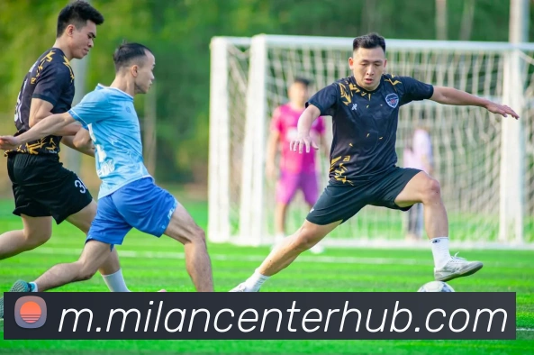 米兰体育全站App